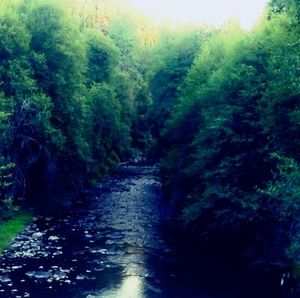 Meet your Posher, Raechelle